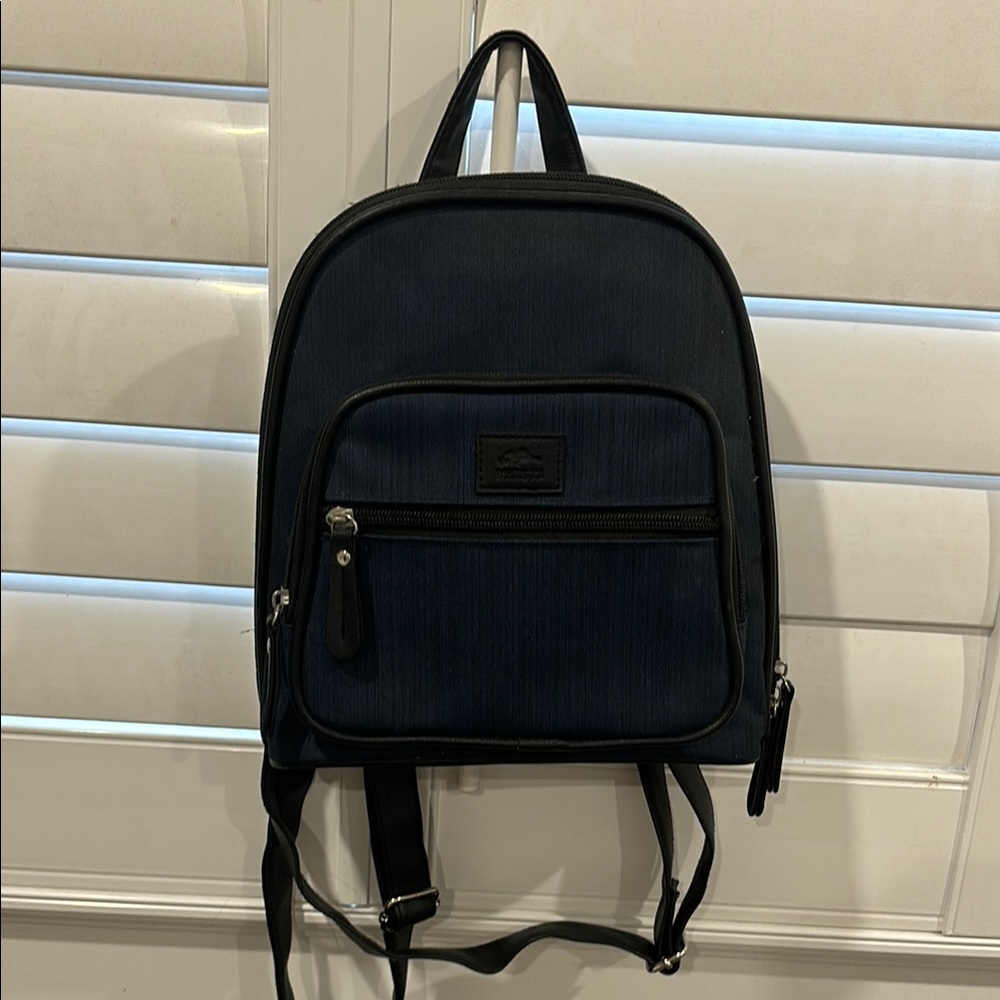 ROOTS backpack